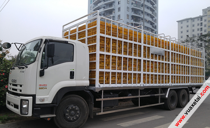 xe tải isuzu 15 tấn chở gia cầm ( vịt, gà, ngan, ngỗng )