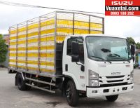XE CHỞ GÀ GIA CẦM