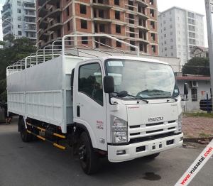 Xe tải Isuzu 5 tấn ngắn NQR75L 5T5